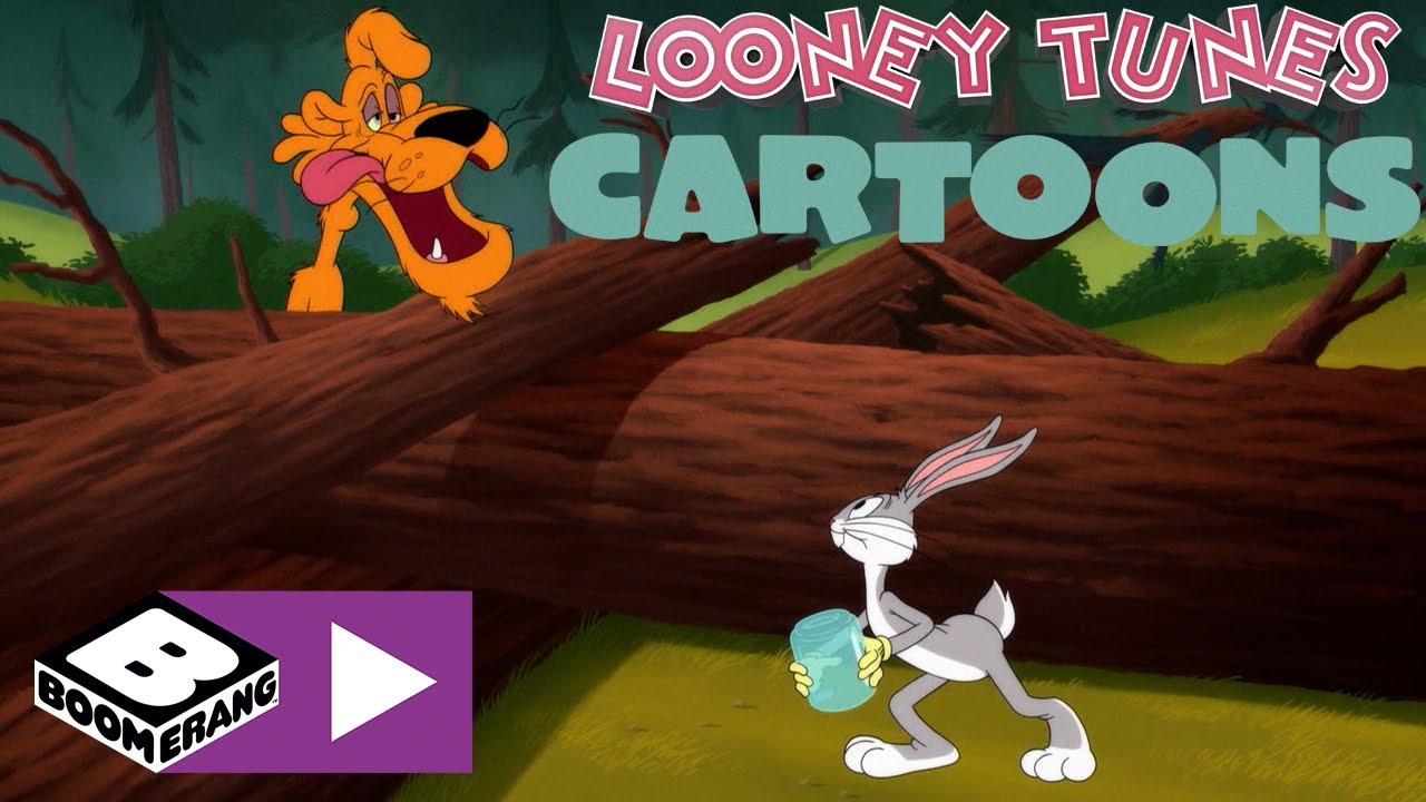 A bocca asciutta | Looney Tunes Cartoons | Boomerang