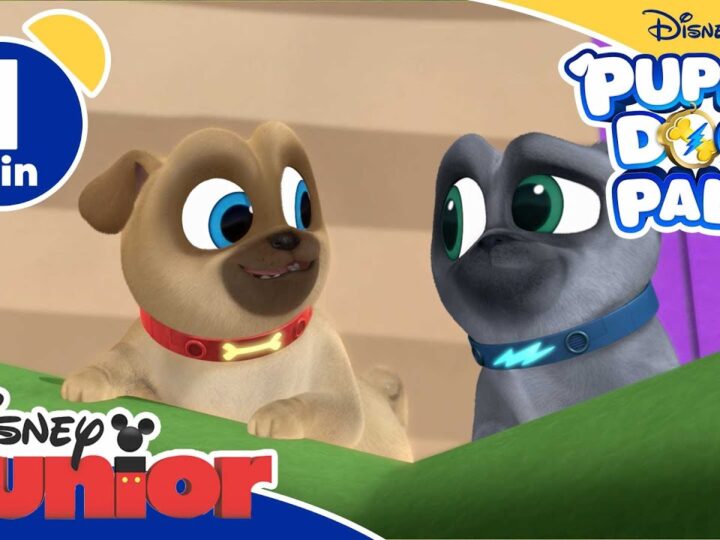 Puppy Dog Pals – All'inseguimento delle chiavi – Disney Junior Italia