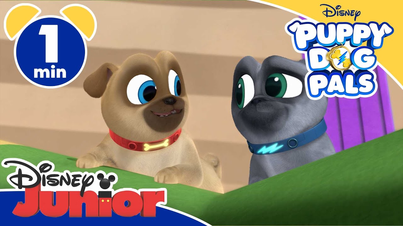 Puppy Dog Pals – All'inseguimento delle chiavi – Disney Junior Italia