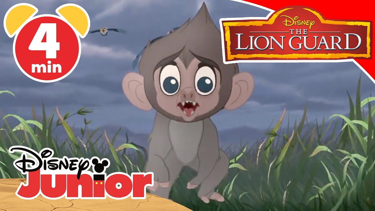 The Lion Guard | Impariamo gli animali  – Disney Junior Italia