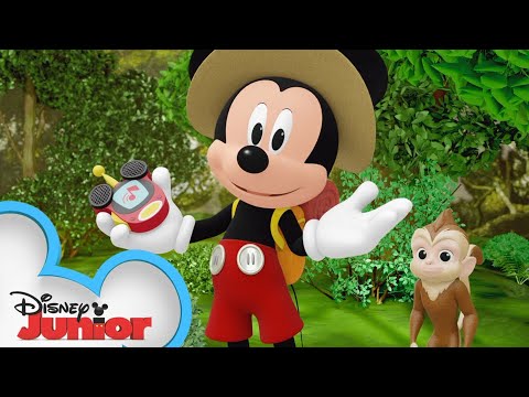Indovina l’animale | Me & Mickey | Vlog 8