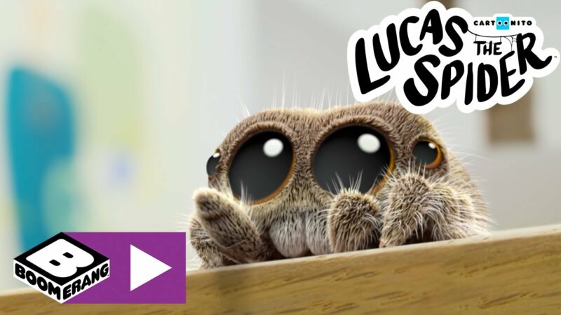 Amico cactus | Lucas The Spider | Boomerang Italia