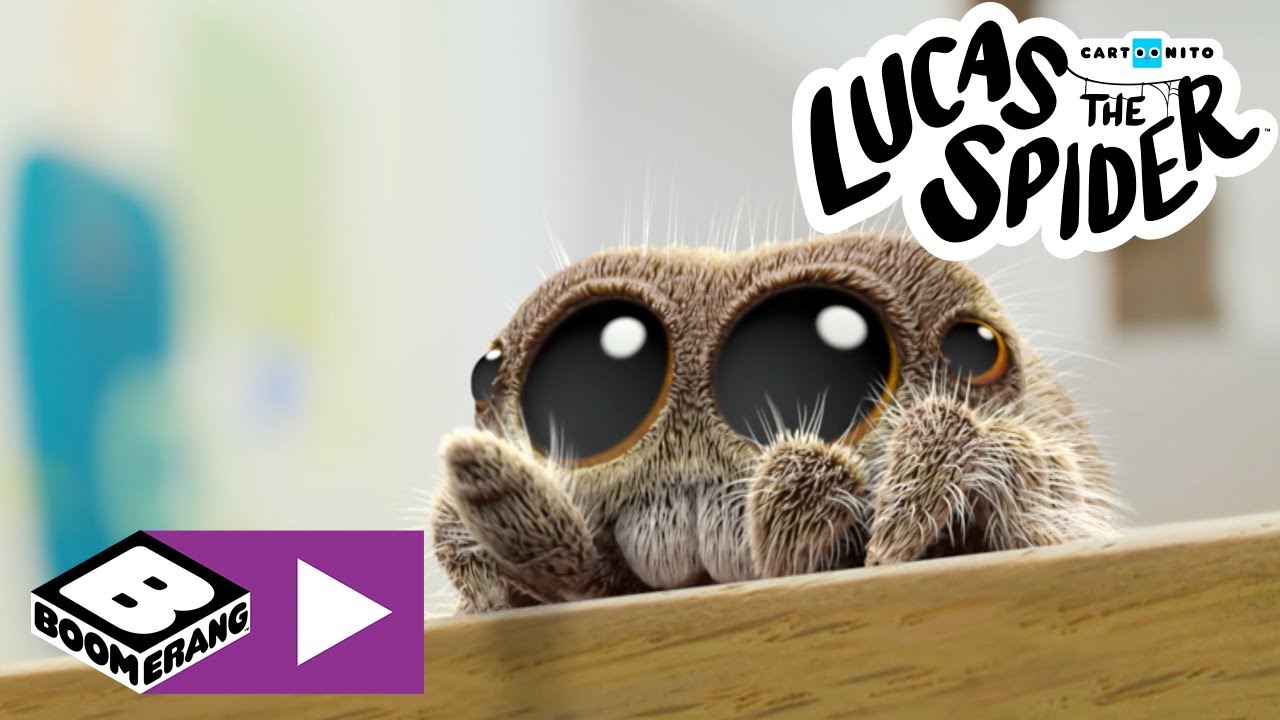 Amico cactus | Lucas The Spider | Boomerang Italia