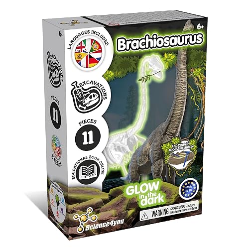 Kit Dinosauri Brachiosauro: gioco di assemblaggio e fossili luminosi