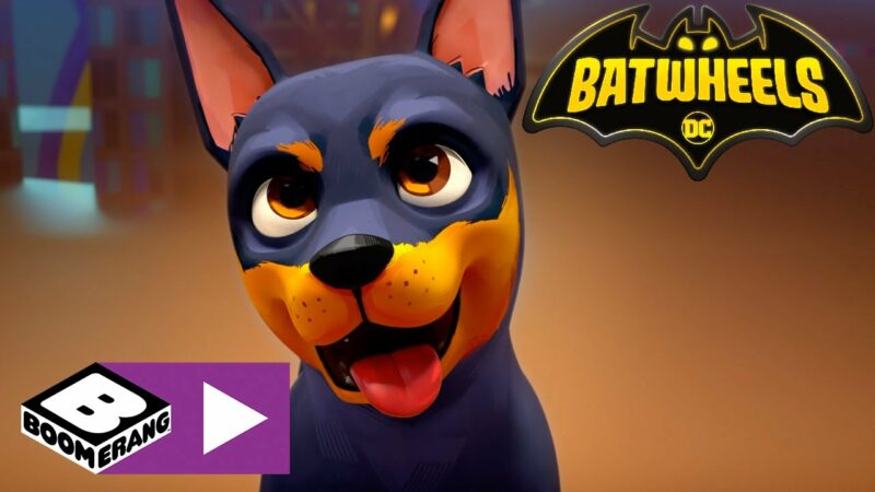 Il cucciolo di Batman | Batwheels | Boomerang Italia