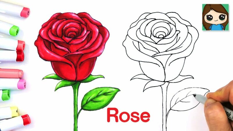 Come disegnare una rosa 🌹