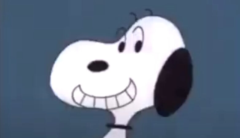 Snoopy cane contestatore / Snoopy Come Home – Il film di animazione del 1972