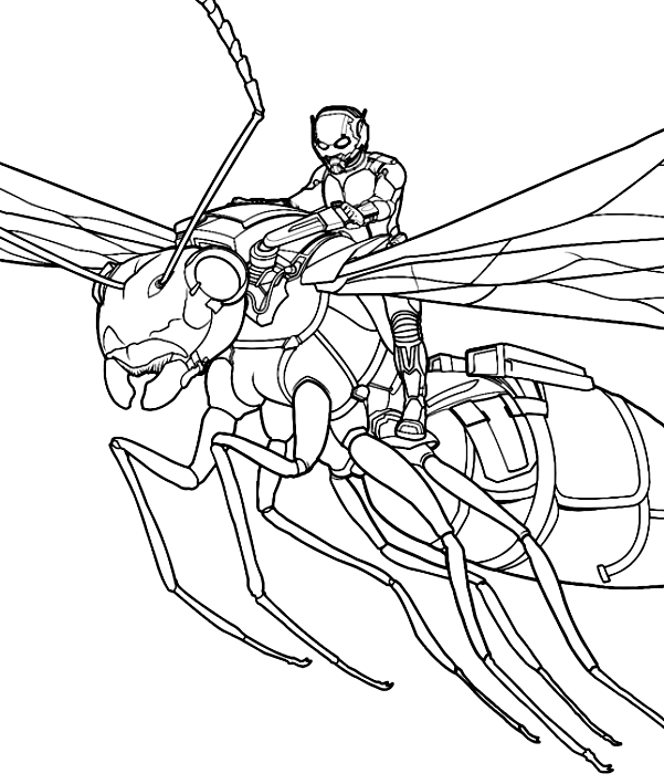 Ausmalbilder Ant-Man fliegt auf einer Wespe zum Drucken und Frben